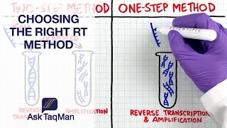 What is the Right RT Method for Your Experiment Ask TaqMan 37 [upl. by Pitarys]