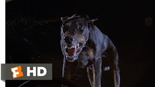 Fletch 510 Movie CLIP  The Doberman 1985 HD [upl. by Atiuqaj111]