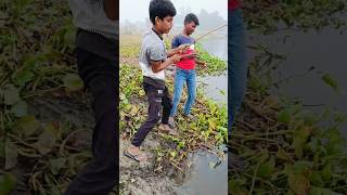 Dil Tham Lo⚡BIG FISH Fallow FOR MORE 💥 fishlover gonefishing fish🙏🙏🙏 [upl. by Norha857]