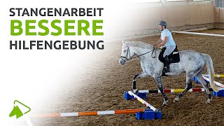 Stangenarbeit 5 Ideen für bessere Einwirkung als Reiter  wehorse [upl. by Ytirahc14]