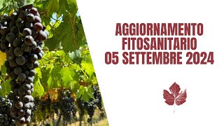 aggiornamento fitosanitario primi settembre [upl. by Bettzel]