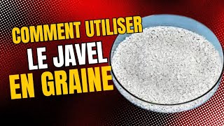 comment utiliser le Javel en graine [upl. by Asined222]