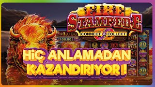 YENİ PRAGMATIC SLOT OYUNU FIRE STAMPEDE  HİÇ ANLAMADAN KAZANDIRIYOR casino slotoyunları slots [upl. by Booker]