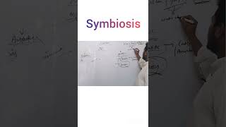 Symbiosisshortvideo [upl. by Blaise]