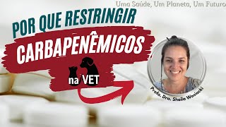 Por que restringir ou não usar Meropenem e Imipenem na Medicina Veterinária [upl. by Nonnairb]