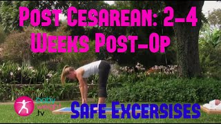 Safe Exercises After A Cesarean 24 Weeks PostOp Full Video [upl. by Gemma517]