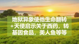 地狱异象使他生命翻转天使启示关于西药，转基因食品，美人鱼等等 [upl. by Ssilb103]