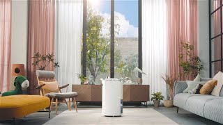 LG Dehumidifier helps manage moisture at home  LG [upl. by Eniledgam239]