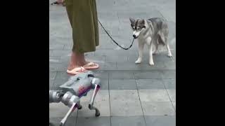 New doglike robot from Boston Dynamics can open doors [upl. by Mears]