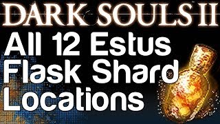 All 12 Estus Flask Shard Locations  Dark Souls 2  WikiGameGuides [upl. by Eseerehc]