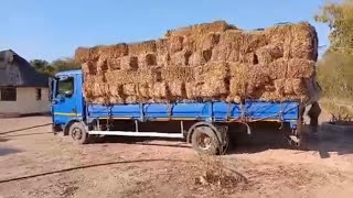 DAY 25 Building Our Rural Retirement Homestead in Buhera Zimbabwe [upl. by Olfe]