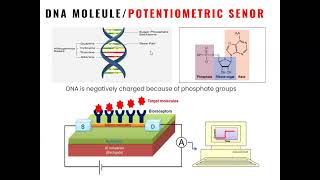 Lec 1 Introduction to Biosensors [upl. by Anilahs]