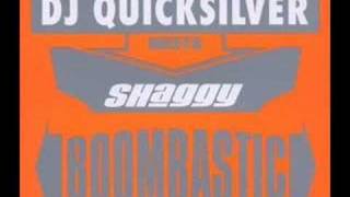 Dj Quicksilver Meets Shaggy  Boombastic Epic Mix [upl. by Guthry]