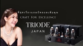 🔴 เปิดตัว TRIODE Japan Tube Amplifier ที่เป็นตำนานอันโด่งดังจากญี่ปุ่น คนรักหลอดพลาดไม่ได้เลย [upl. by Imak]