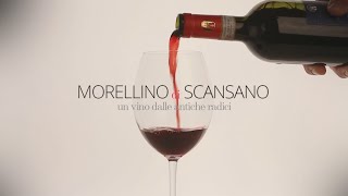 Morellino di Scansano Un vino dalle antiche radici [upl. by Hoffman]