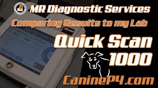 Will the Quickscan 1000 readings match my vet lab Canine Progesterone Testing [upl. by Uis]