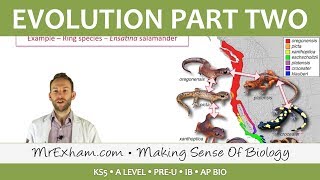 Evolution  Stress extinction and speciation  Post 16 Biology A Level PreU IB AP Bio [upl. by Mars976]