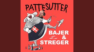 Bajer amp Streger [upl. by Labotsirhc]