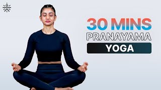 Pranayama Yoga Practice  Yoga At Home  Yoga For Beginners  Yoga Routine  cultofficial [upl. by Ailina]