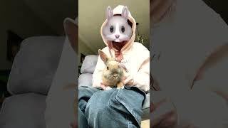 Konijntjes TROMMELEN😂🐰 [upl. by Ethelda]