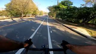 roguetree cycling atlanta cyclecommute cycling gravelbike roadbike atlantacycling [upl. by Diley]