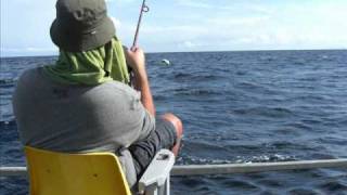 Dorado fishing in Laiya Philippines [upl. by Tammany156]