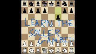 Soller Gambit Trap for Beginners [upl. by Olfe]