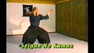 Ninpo Taijutsu Basics [upl. by Krusche]