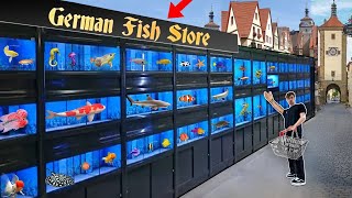 GERMANY EXOTIC FISH STORE TOUR [upl. by Johppa]