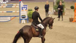 Internationales Reitturnier  Best of VR Classics 2020 [upl. by Zzaj]