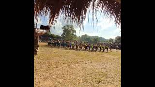 Wangala Festival Traditional music and dance performances  Wangala dance at Chibagre [upl. by Spohr]