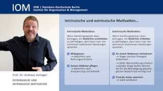 Prof Dr Andreas Aulinger Intrinsische und extrinsische Motivation  Einsichten [upl. by Eecart60]