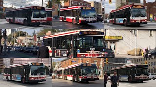 TTC Bus 100 [upl. by Stoughton]