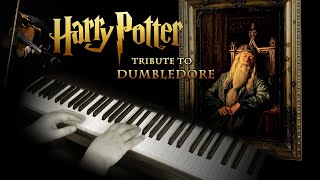 Dumbledore Tribute Violin Piano and Orchestra Harry Potter [upl. by Pruter594]