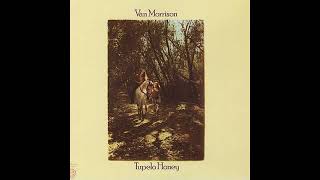 Van Morrison  Tupelo Honey 1971 Part 2 Full Album [upl. by Cozza95]