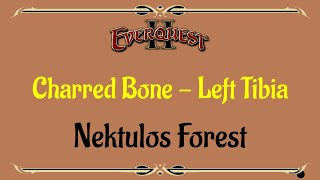 Lets Play  Everquest  Everquest 2  Nektulos Forest  Charred Bone  Left Tibia [upl. by Aneev871]