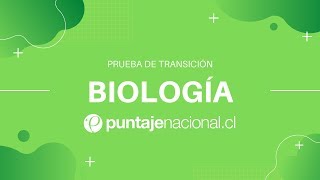 BIOLOGÍA  CÉLULA EUCARIONTE Y PROCARIONTE  CLASE N°4 [upl. by Glennon]