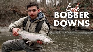 BOBBER DOWN HOT Winter Steelhead Fishing Erie Tributaries [upl. by Barren160]