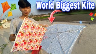 World biggest kite bana lea  yo yo [upl. by Eiramanig]