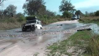 Moremi Game Reserve Botswana HD [upl. by Annahahs]