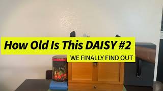 How old is this DAISY Part 2 THE ANSWER [upl. by Aprilette]