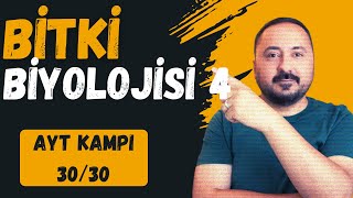 Bitki Biyolojisi 4  30 Derste AYT Biyoloji Kampı 30Ders  2025  Cici Biyoloji [upl. by Pet]