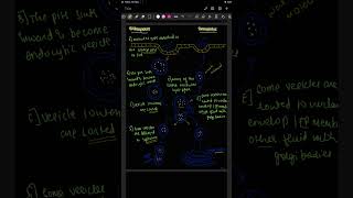 Endocytosis and exocytosis flow chartneet2025 endocytosis plasmamembranemusic song youtube [upl. by Shipley]