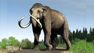 Imperial Mammoth  Prehistoric Elephant [upl. by Aeriela]