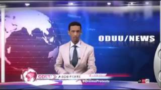 OMN news Oduu bareeduu dhageefadhaa Oromo [upl. by Britt]