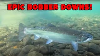 15 Mins Of BOBBER DOWN MADNESS TROUT amp Steelhead Fishing Highlights [upl. by Xuaegram]