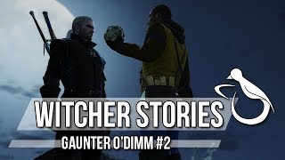 Witcher Stories  Gaunter ODimm Part 22 Witcher Lore [upl. by Brag]