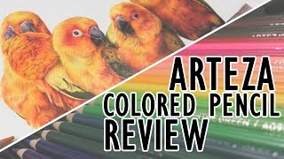 Arteza Expert Colored Pencils Review  Sun Conures [upl. by Keiko]