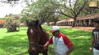 RCB Team Outing at Kunigal Stud Farm  Part2 [upl. by Ylas821]