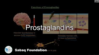 Prostaglandins Biology Lecture  Sabaqpk [upl. by Amyaj]